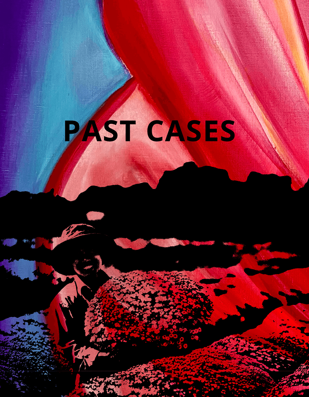 PAST CASES