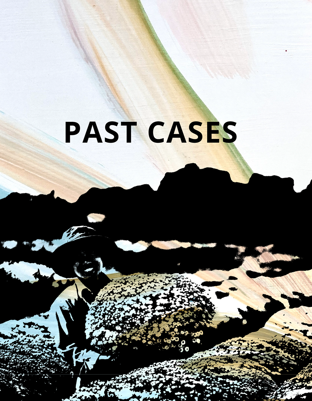 PAST CASES